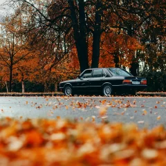 #bmw #autumn
