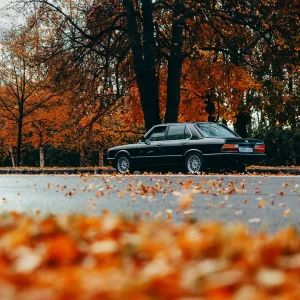#bmw #autumn